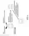 Fig. 09 - Substrate detection assay