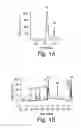Fig. 02 - 2-O sulfatase compositions and methods of analyzing therewith
