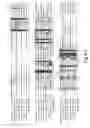 Fig. 04 - 2-O sulfatase compositions and methods of analyzing therewith