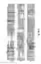 Fig. 20 - 2-O sulfatase compositions and methods of analyzing therewith