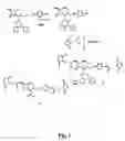 Fig. 02 - Lactamase amplification substrate