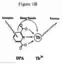 Fig. 03 - Method and apparatus for detecting and quantifying bacterial spores on a surface
