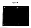 Fig. 10 - Method and apparatus for detecting and quantifying bacterial spores on a surface