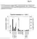 Fig. 06 - Glutaryl amidases and their uses