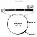 Fig. 03 - Method for improving solubility and folding efficiency of target proteins using RNA as molecular chaperone