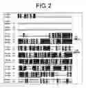 Fig. 03 - Mammalian prickle gene