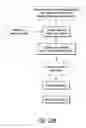 Fig. 45 - Nell peptide expression systems and bone formation activity of nell peptide