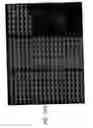 Fig. 47 - Nell peptide expression systems and bone formation activity of nell peptide