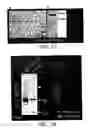 Fig. 48 - Nell peptide expression systems and bone formation activity of nell peptide