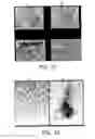 Fig. 52 - Nell peptide expression systems and bone formation activity of nell peptide