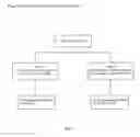 Fig. 05 - Cell lines for expressing enzyme useful in the preparation of amidated products