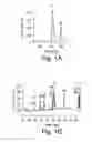 Fig. 02 - 2-O sulfatase compositions and methods of degradation therewith