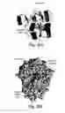 Fig. 13 - 2-O sulfatase compositions and methods of degradation therewith