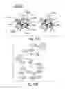 Fig. 14 - 2-O sulfatase compositions and methods of degradation therewith