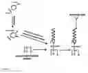 Fig. 13 - Affinity membrane for capture of a target biomolecule and formation thereof by site-directed immobilization of a capture biomolecule