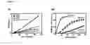Fig. 06 - Cross-beta structures on microbial organisms