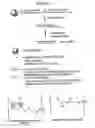 Fig. 02 - RNA interference mediated inhibition of gene expression using chemically modified short interfering nucleic acid (siNA)