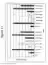 Fig. 12 - RNA interference mediated inhibition of gene expression using chemically modified short interfering nucleic acid (siNA)