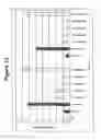Fig. 14 - RNA interference mediated inhibition of gene expression using chemically modified short interfering nucleic acid (siNA)