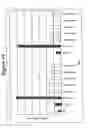 Fig. 15 - RNA interference mediated inhibition of gene expression using chemically modified short interfering nucleic acid (siNA)