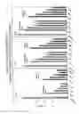 Fig. 31 - RNA interference mediated inhibition of gene expression using chemically modified short interfering nucleic acid (siNA)
