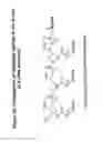 Fig. 49 - RNA interference mediated inhibition of gene expression using chemically modified short interfering nucleic acid (siNA)