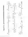 Fig. 50 - RNA interference mediated inhibition of gene expression using chemically modified short interfering nucleic acid (siNA)