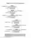 Fig. 62 - RNA interference mediated inhibition of gene expression using chemically modified short interfering nucleic acid (siNA)