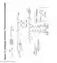 Fig. 72 - RNA interference mediated inhibition of gene expression using chemically modified short interfering nucleic acid (siNA)