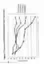 Fig. 81 - RNA interference mediated inhibition of gene expression using chemically modified short interfering nucleic acid (siNA)