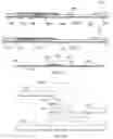Fig. 06 - Diffused interrupted lateral flow immunoassay device and method