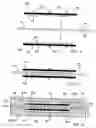 Fig. 09 - Standoffs for centralizing internals in packaging process