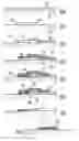 Fig. 01 - Method of synthesizing nanoscale filamentary structures, and electronic components comprising such structures
