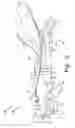 Fig. 03 - Projectile toy
