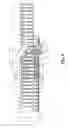 Fig. 04 - Apparatus for positioning fish for heading