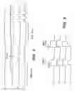 Fig. 04 - High-efficiency modulating RF amplifier