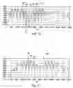 Fig. 07 - Frequency extension of harmonic signals