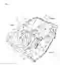 Fig. 04 - Shaft arrangement structure of engine