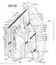 Fig. 06 - Double inserted U-joint seal