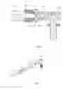 Fig. 05 - Solid prop rod of folding type seat