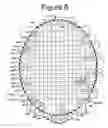Fig. 05 - Racket and method of stringing the racket