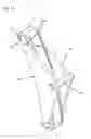Fig. 13 - Pivoting mechanical tensioner with compliant blade spring