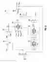 Fig. 06 - Model-based control for torque biasing system