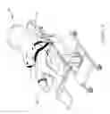 Fig. 07 - Therapeutic exercise device