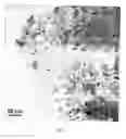 Fig. 02 - Method for production of a B/N/C/Si ceramic from a borazine precursor, ceramics made by said method and use of the ceramic made by said method