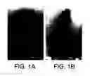 Fig. 02 - Method of preparing metallic nanoparticles and materials thus obtained