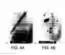 Fig. 06 - Method of preparing metallic nanoparticles and materials thus obtained
