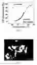 Fig. 02 - Surface-stabilized gold nanocatalysts