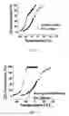Fig. 07 - Surface-stabilized gold nanocatalysts