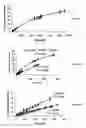 Fig. 02 - Pharmaceutical compositions comprising an active agent and chitosan for sustained drug release or mucoadhesion